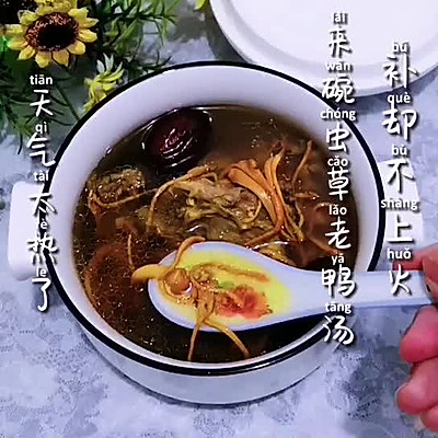 虫草花老鸭汤