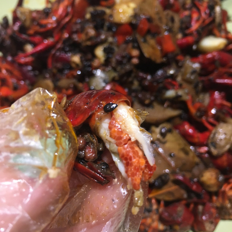 麻辣小龙虾，夏天和啤酒更配的做法
