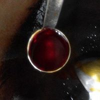 辣炒珍宝蟹的做法图解5