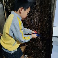 葱姜盐水煮螃蟹的做法图解4