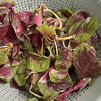 #夏日鲜味轻享健康#快手拌苋菜的做法图解1