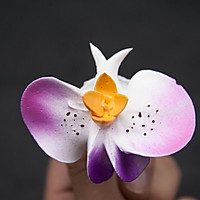 裱花师花卉技艺--蝴蝶兰的做法图解8
