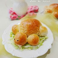 小乌龟肉松包的做法图解23