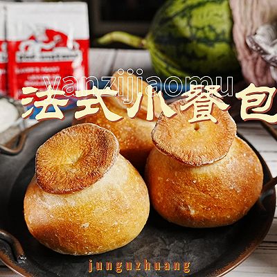 经典老式法式小餐包/面包发酵的魔法