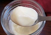酸奶（低脂牛奶版）的做法