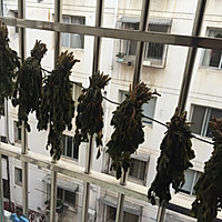 干马齿苋的做法图解7