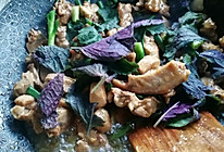 紫苏蚝油炒鸭的做法