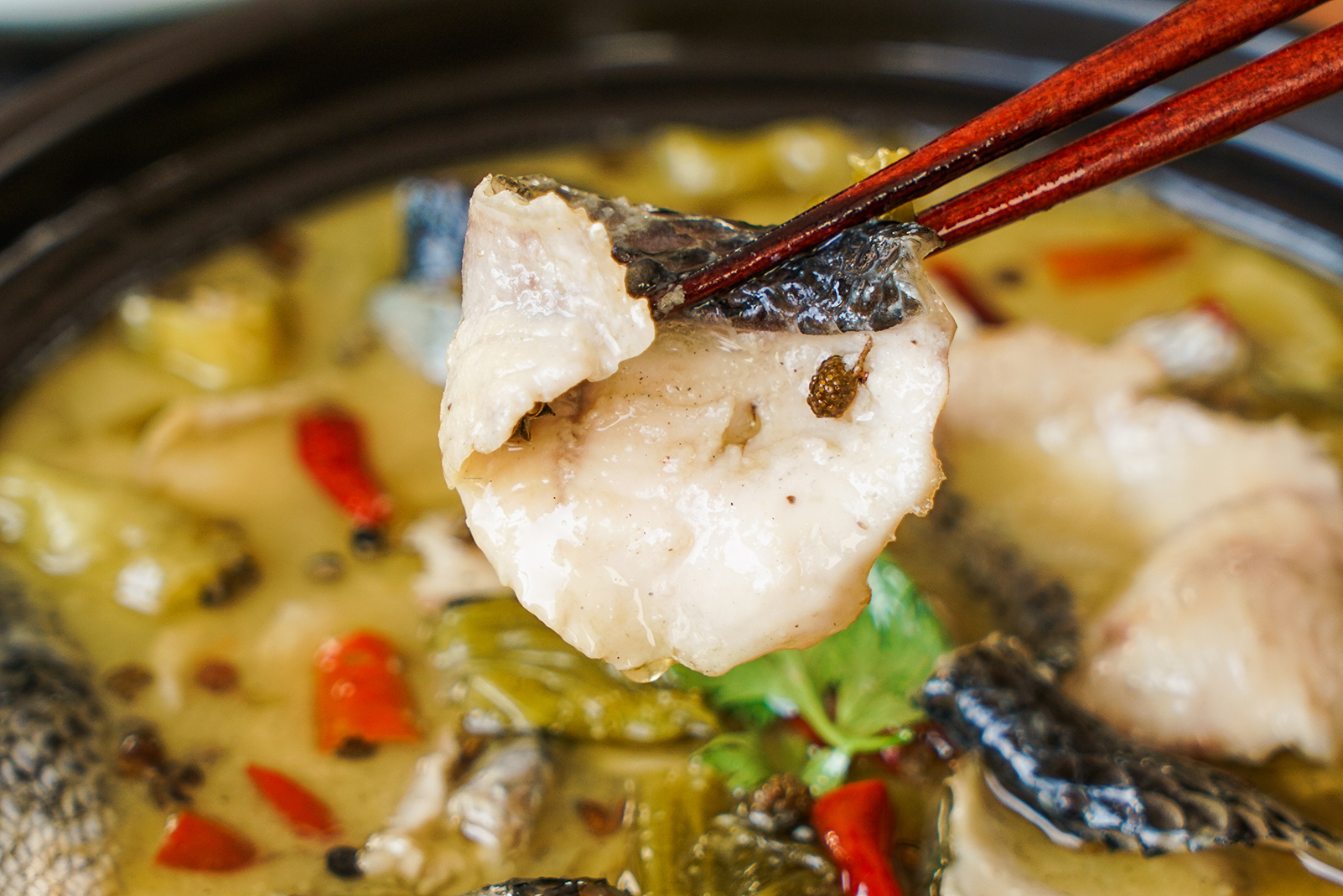 正宗酸菜鱼的做法，掌握这个技巧，鱼片滑嫩无腥味，酸菜清脆爽口 - 知乎