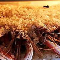 盐焗皮皮虾的做法图解12