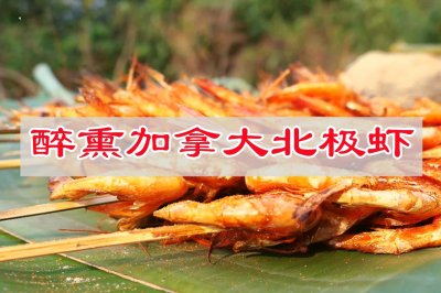 醉熏加拿大北极虾