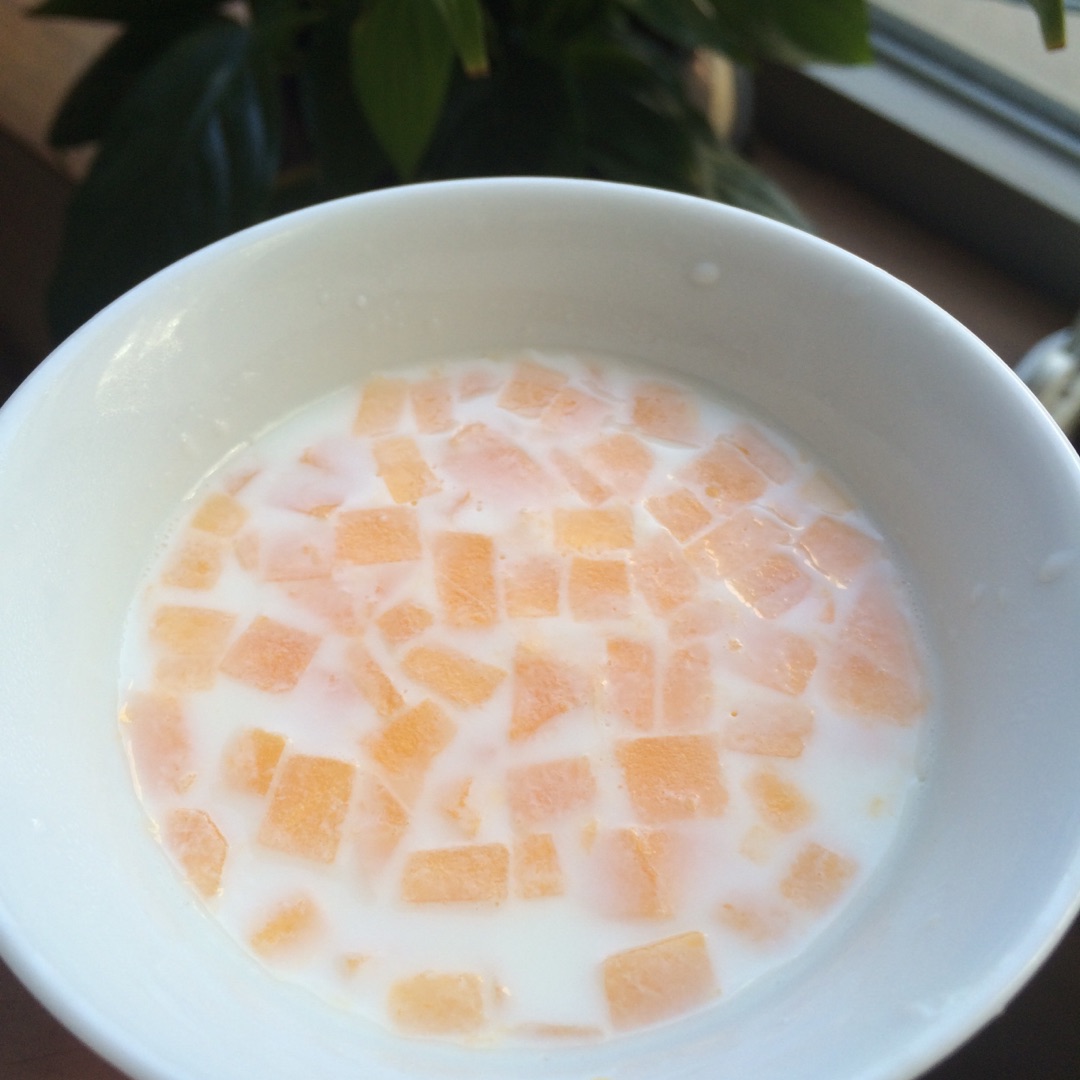 木瓜桃胶炖牛奶图片-图库-五毛网