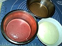 三色吐司#跨界烤箱 探索味来#的做法图解9