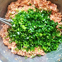 水萝卜肉馅饺子的做法图解2