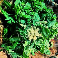 豌豆尖炒腊肉的做法图解3