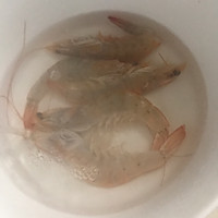 简单的美容青瓜汤的做法图解3