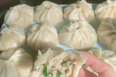美味肉包子
