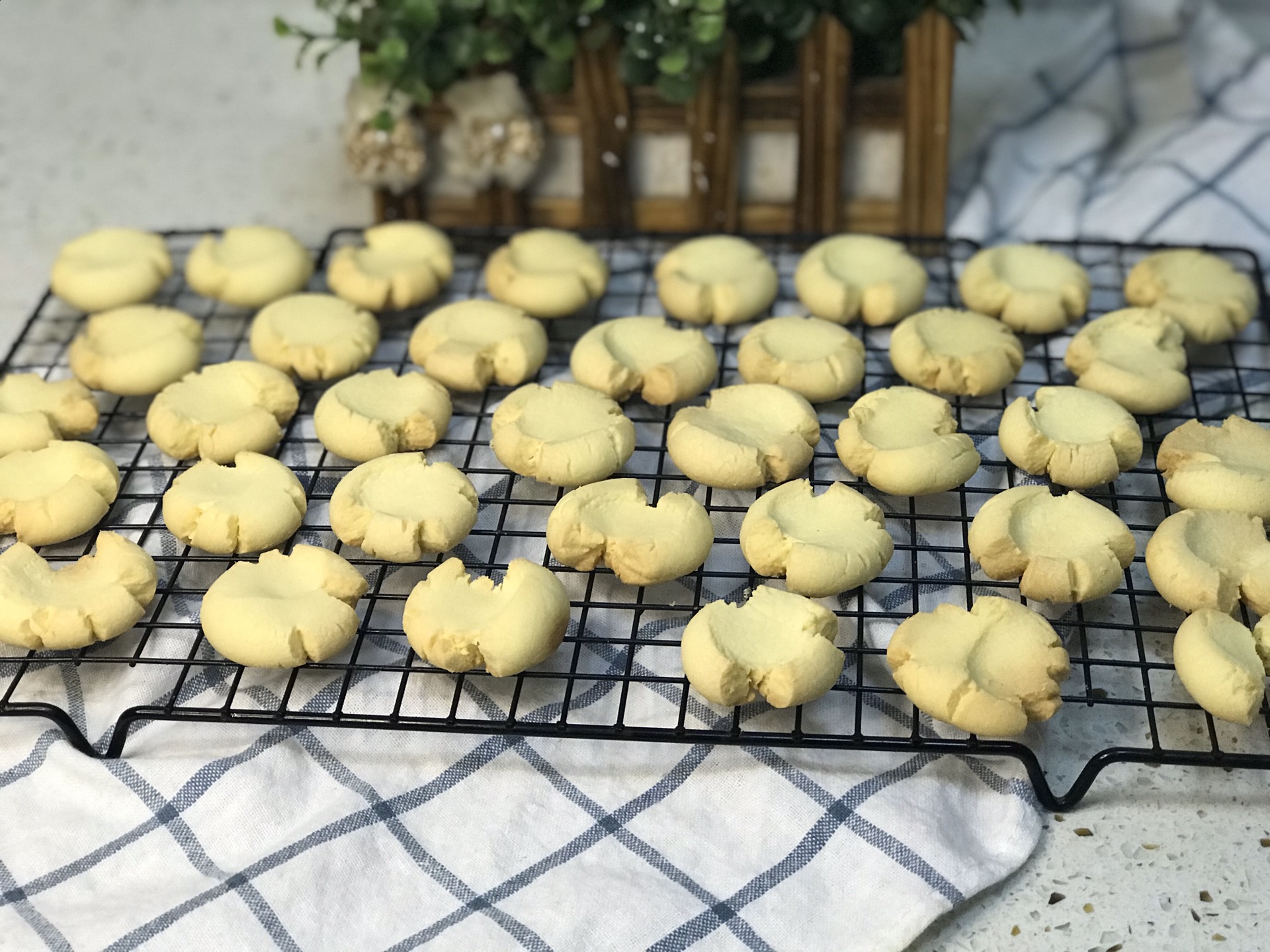 Margarita biscuit