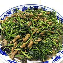 香菜肉丝