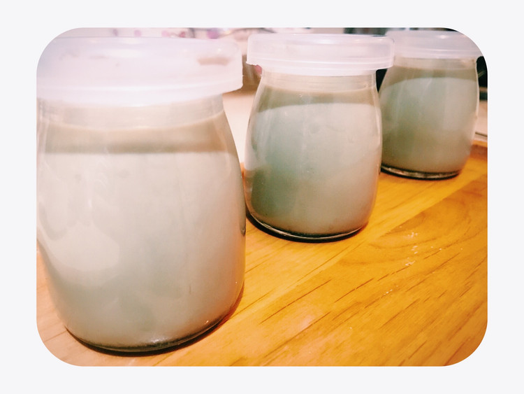抹茶布丁奶冻的做法