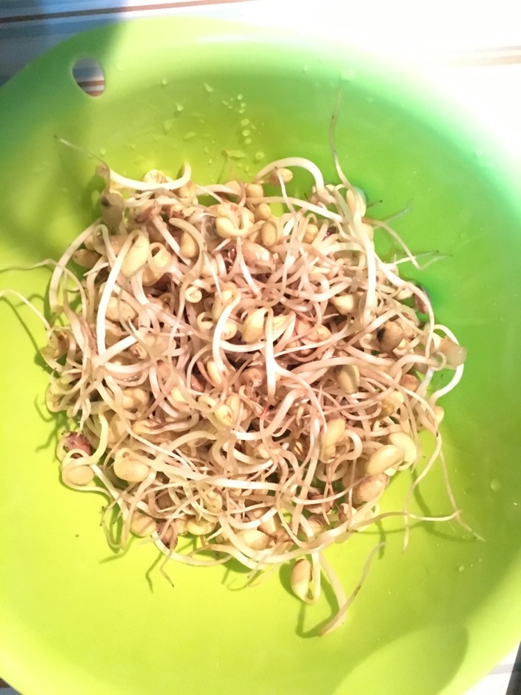 生豆芽(自制黄豆芽)