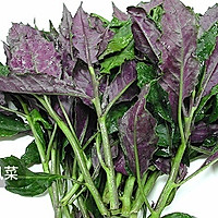 凉拌木耳菜的做法图解1