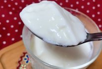 嫩滑双皮奶的做法