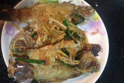 煎焗太阳鱼