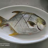 广东:清蒸鱼——金昌鱼的做法图解3