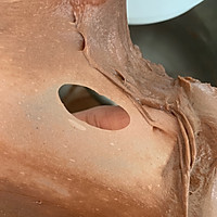 脏小豆—可可巧克力面包（直接法）的做法图解6