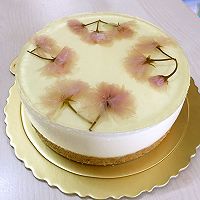 樱花酸奶冻芝士蛋糕的做法图解19