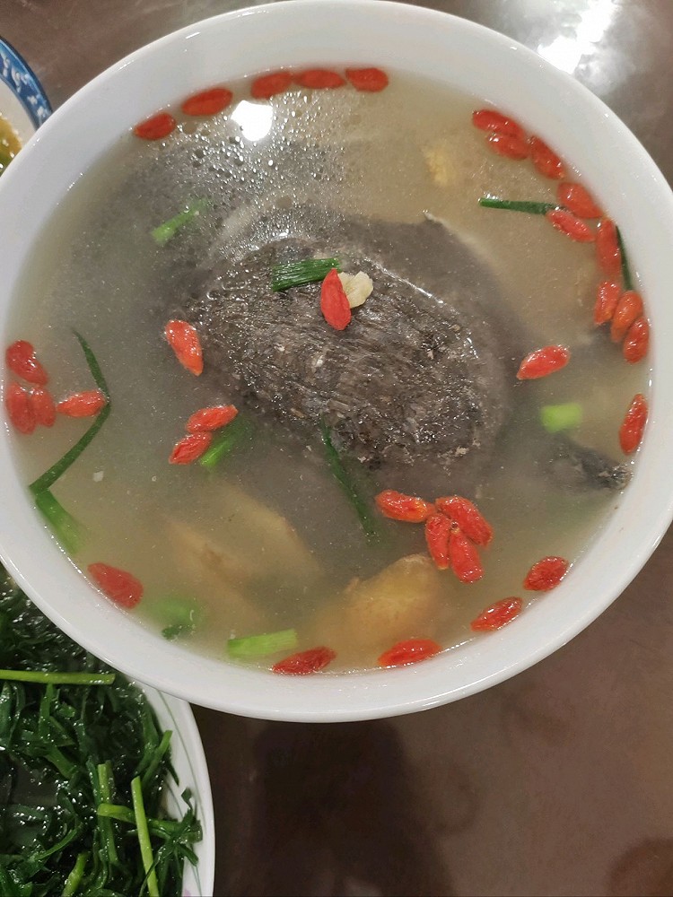 清炖甲鱼汤的做法