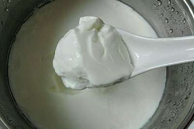 自制酸奶