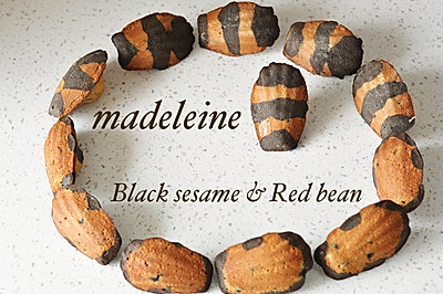 黑芝麻&红豆 小蜜蜂玛德琳蛋糕（视频菜谱）