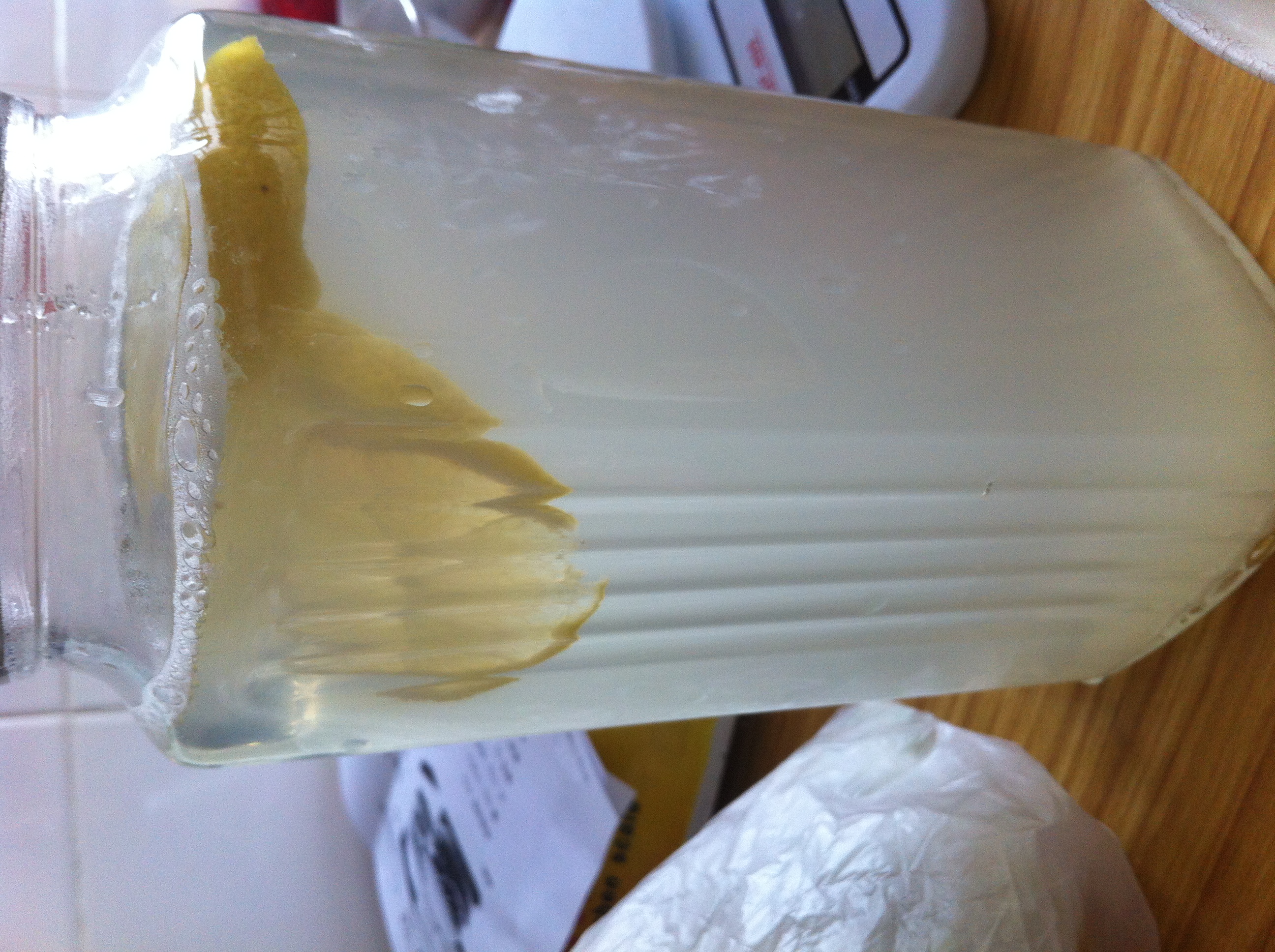 冰糖柠檬水怎么做_冰糖柠檬水的做法_elsa飞雪_豆果美食