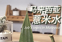 【马来西亚薏米水】自制网红饮品，消暑祛湿美白养颜！的做法