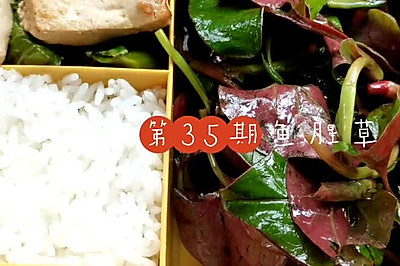 家常菜豆腐白菜烧腊肉凉拌鱼腥草