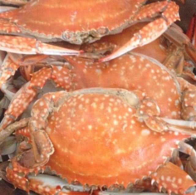 Steamed swimming crab