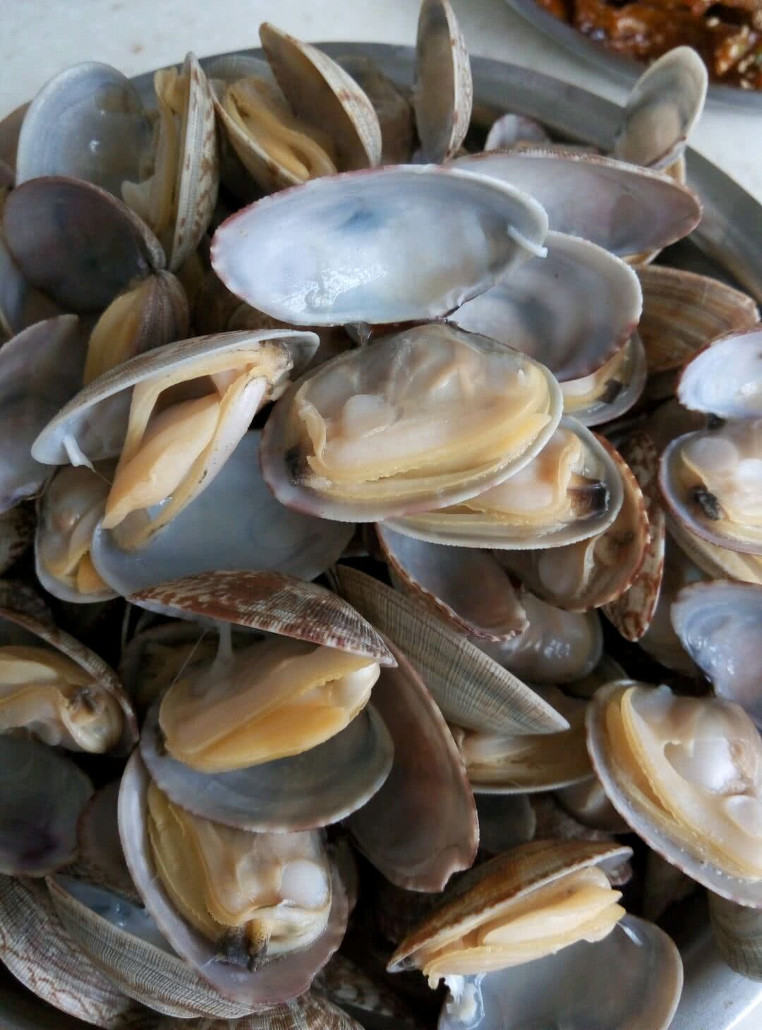 大蛤蜊料理的10種做法 - 食譜主題網