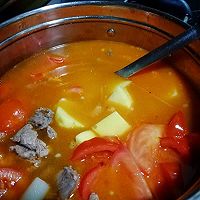 番茄土豆炖牛肉的做法图解7