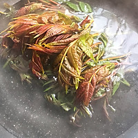 #百变水果花样吃#麻辣香椿拌豆腐的做法图解3