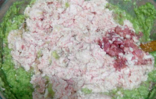 自制猪肉肠