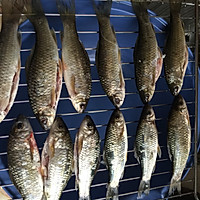 自制鱼干的做法图解1