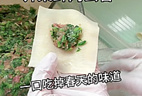 #春天的鲜味#荠菜鲜肉云吞/馄饨的做法