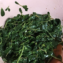 凉拌马齿苋