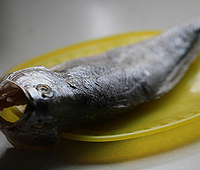 雪菜黄鱼煨年糕的做法图解1