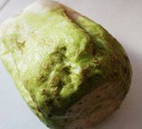 芥菜丝的做法图解1