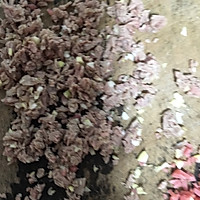 春游必备：黄金球 饭团黄金球 便当的做法图解1