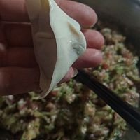 黄瓜鲜肉馄饨（水饺）的做法图解8