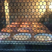 海绵蔓越莓蛋糕杯的做法图解15