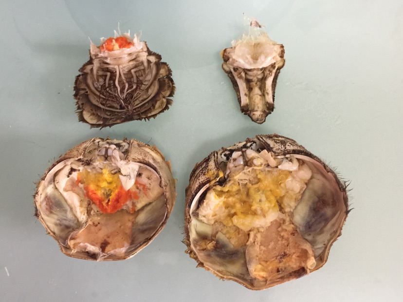 时令美味秃黄油捞饭的做法图解2